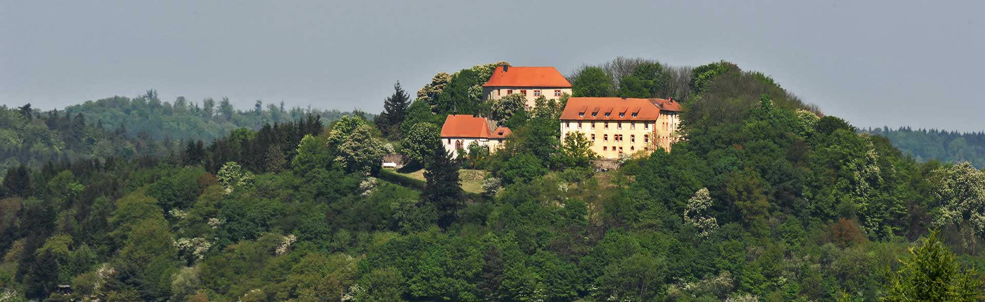 Schloss Reichenberg: Restaurierung der Gesamtanlage. Aufnahme aus der Ferne auf dem Reichenberg.